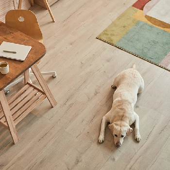 Pet friendly LVT flooring